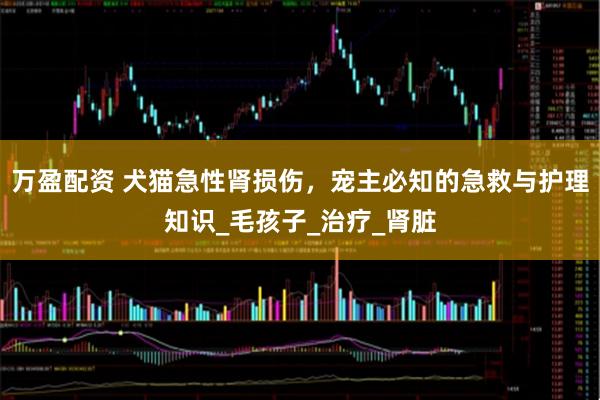 万盈配资 犬猫急性肾损伤，宠主必知的急救与护理知识_毛孩子_治疗_肾脏