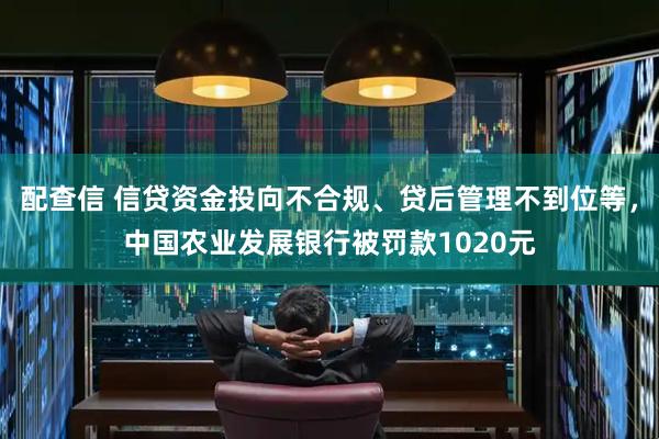 配查信 信贷资金投向不合规、贷后管理不到位等，中国农业发展银行被罚款1020元