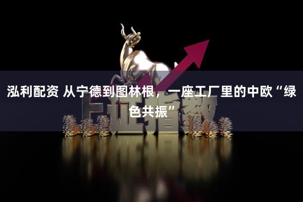泓利配资 从宁德到图林根,一座工厂里的中欧“绿色共振”